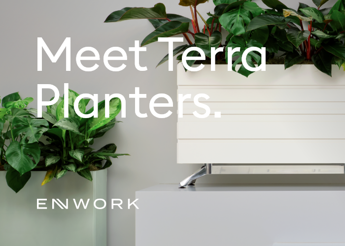 2026 March Enwork Terra Option